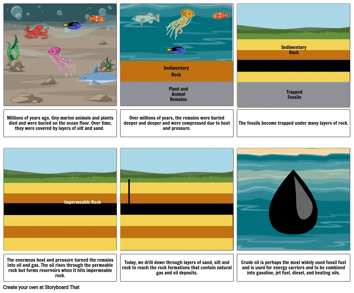 How Oil is Formed