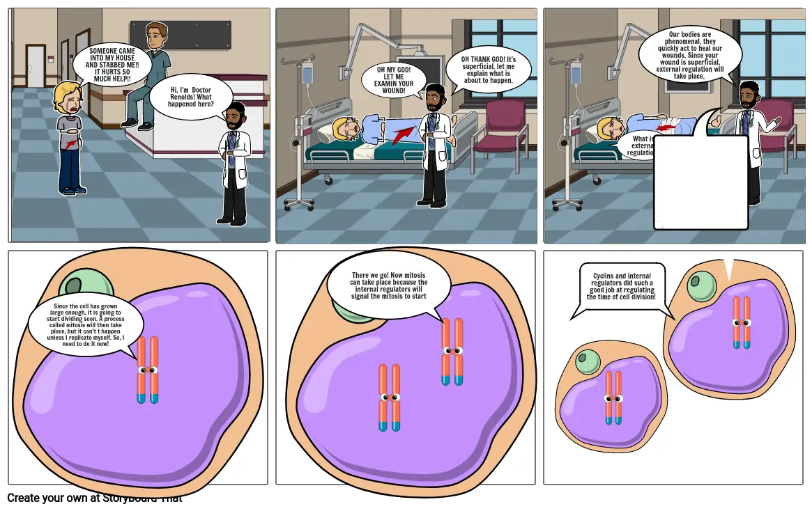 cell regulation