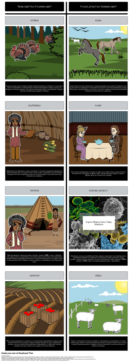 Възраст на Изследването - Колумбийската Борса T-Chart