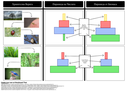 Пирамиди от Биомаса и Цифри от Пирамидите