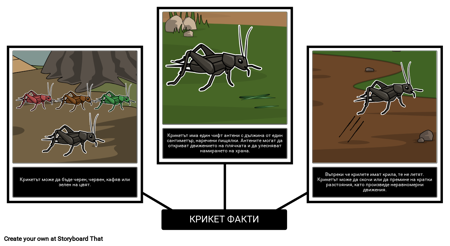 Крикетът в Таймс Скуеър - Крикет Факти