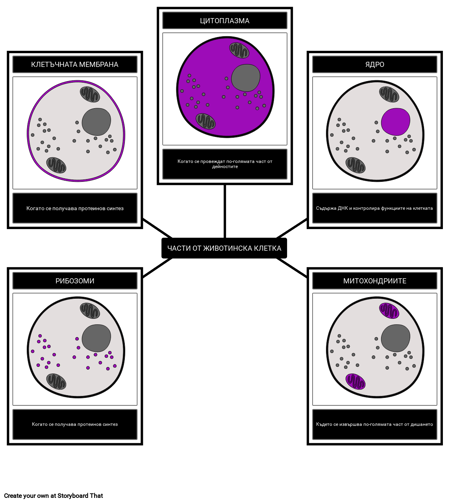 Части от Животинска Клетка