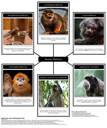 Карта на Паяци - Маймуни