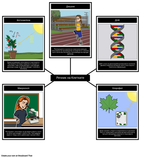 Речник на Клетките