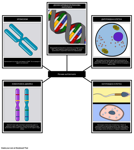 Речник на Клетките - клетки