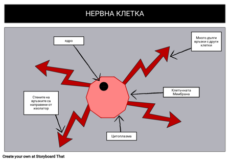 Дизайн на Клетка