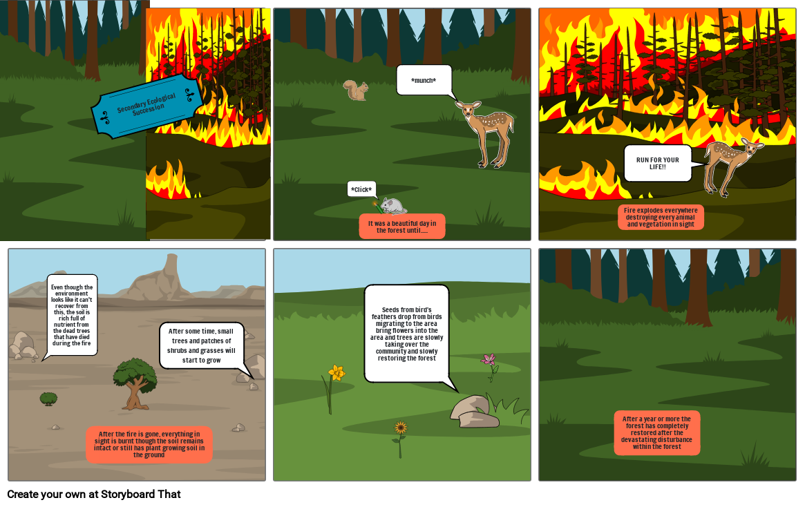 Ecological Succession Comic Storyboard by c16d9b05