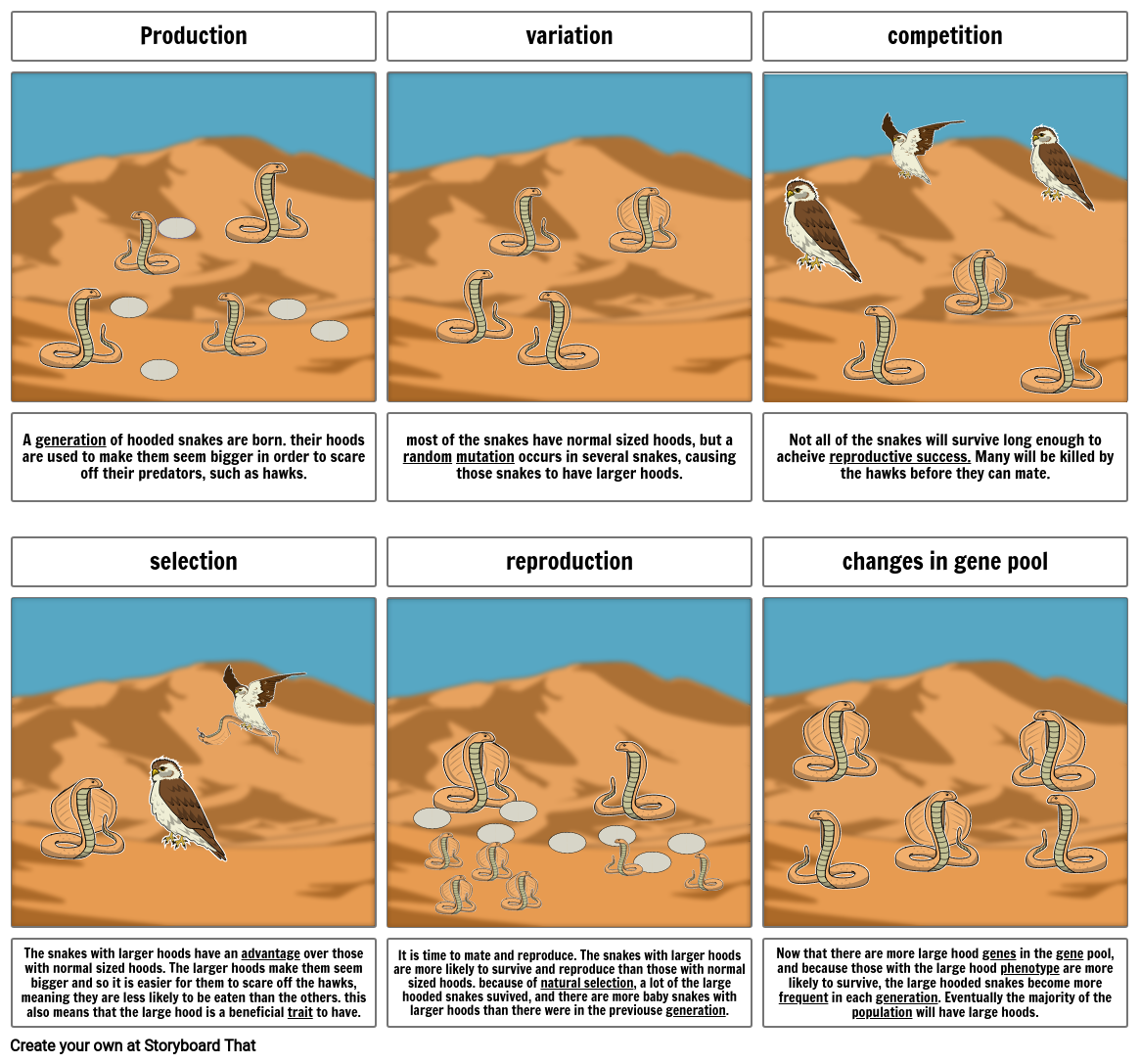 Production Variation Competition A Generation Of Hoo