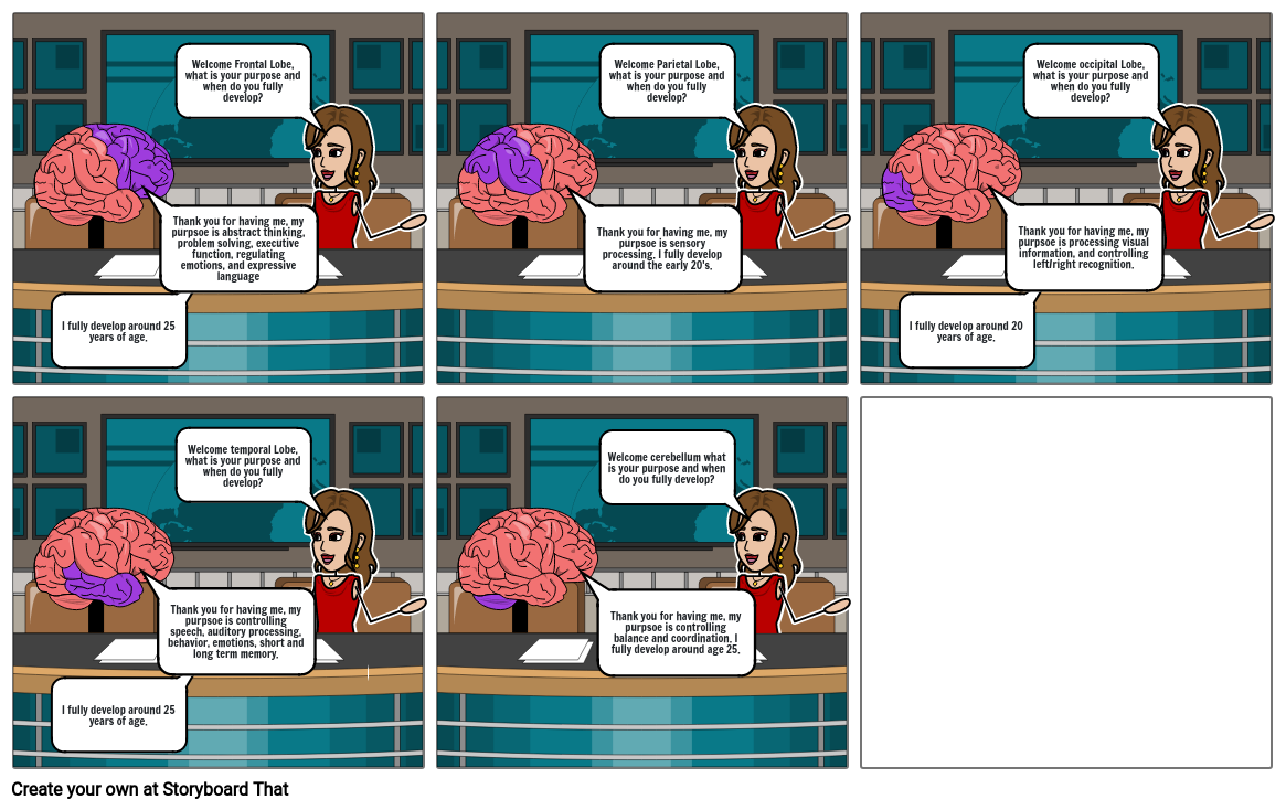 brain-development-storyboard-by-c31d3f0f