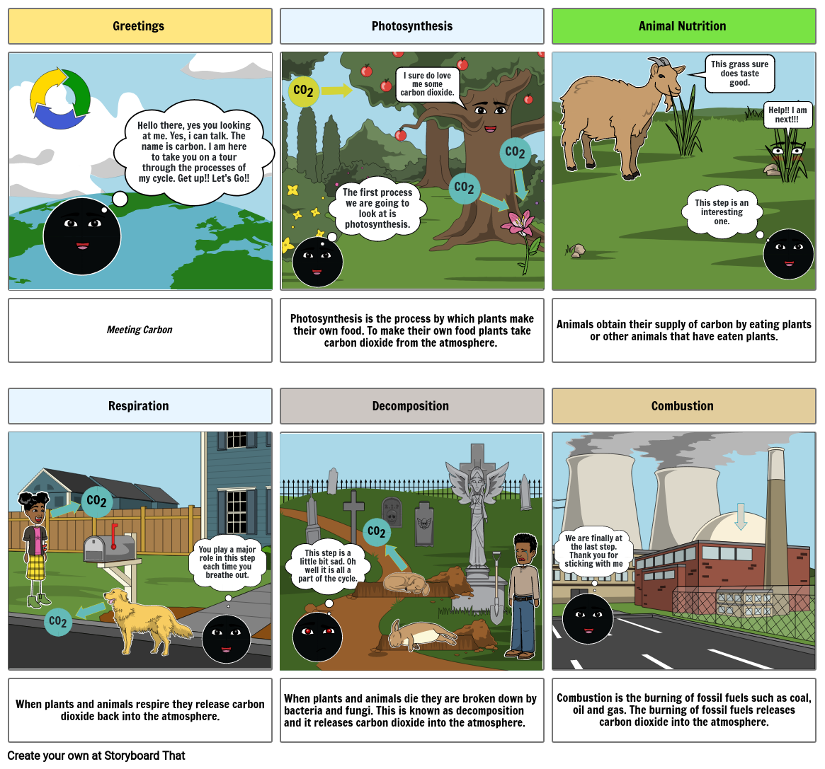 The Carbon Cycle Storyboard by c49df211