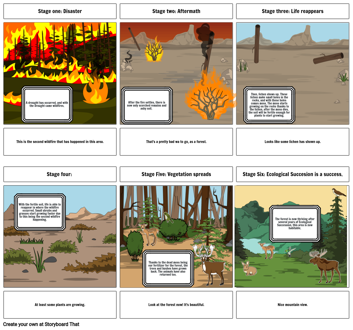 Ecological Succession summarized in 6 cells.