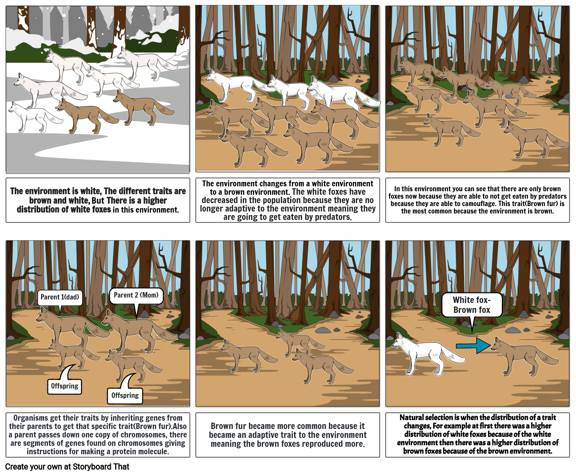 Natural Selection Storyboard by c66d5e62