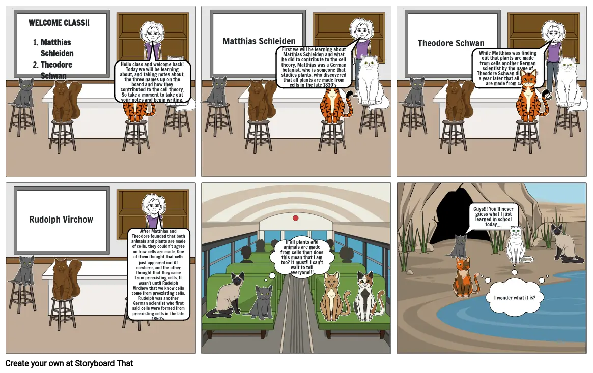 Cell Theory Storyboard