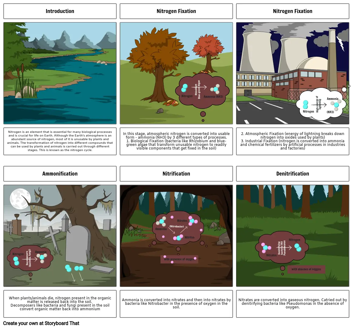 Biology Extended Activity - Nitrogen Cycle Comic Strip