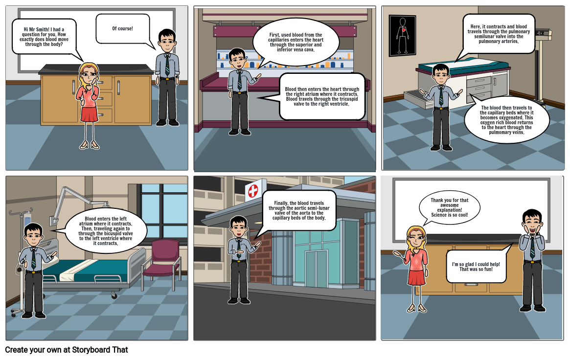 The Circulatory System Storyboard by c7bc0a84