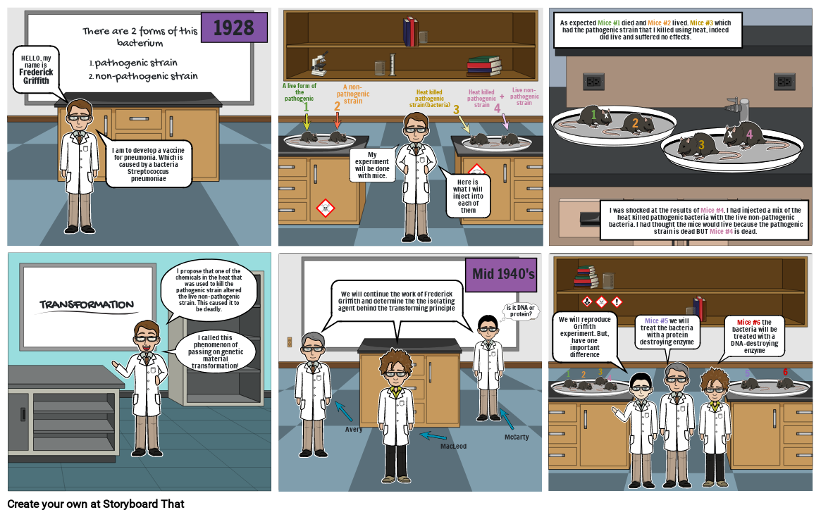 DNA#1 Storyboard by carol8