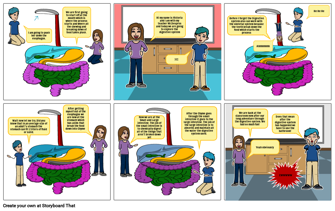 Digestive System Comic Strip Storyboard By Cb1223ea