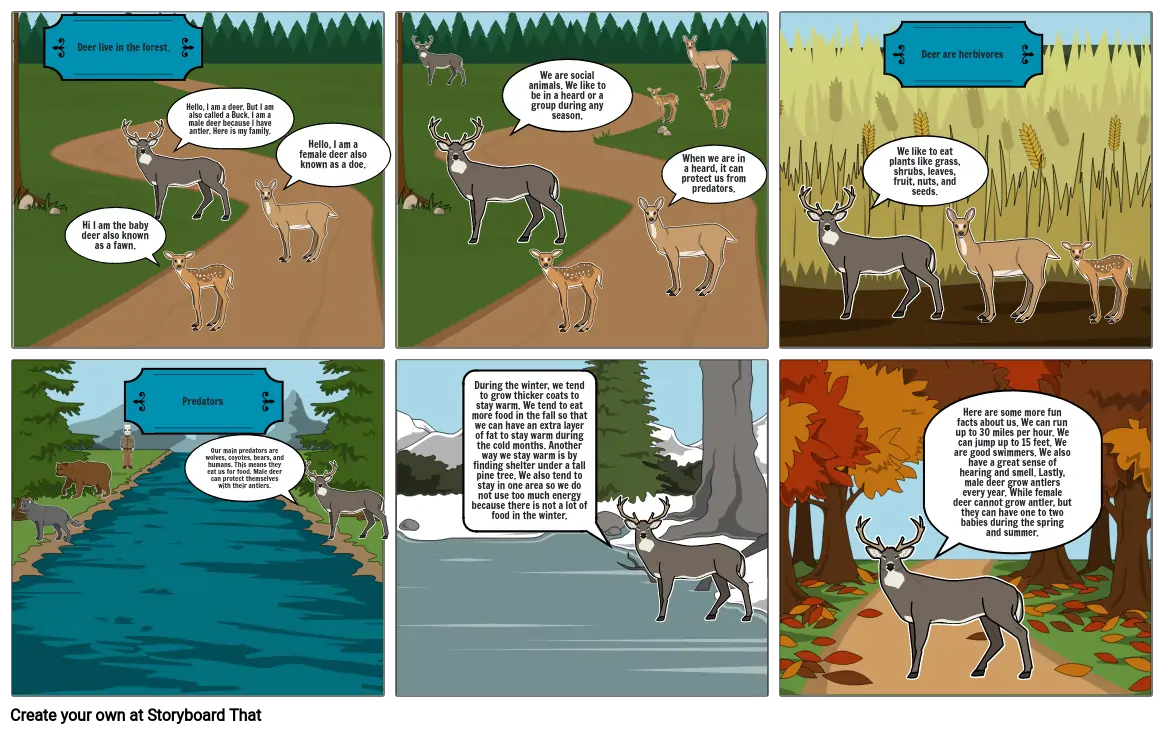 All you need to know about deer!