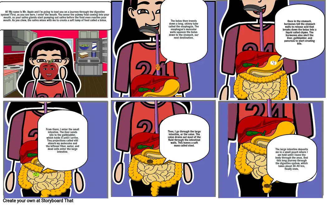 Digestive system comic strip