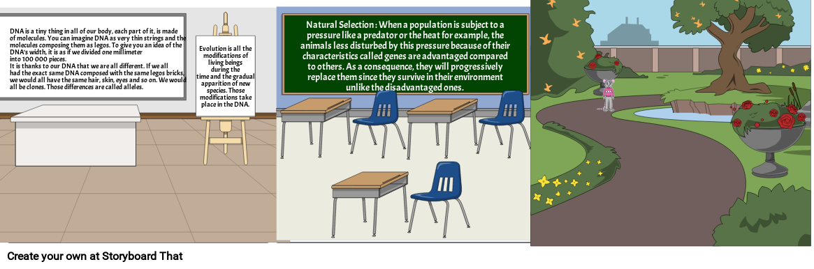 evolution theory - DNA