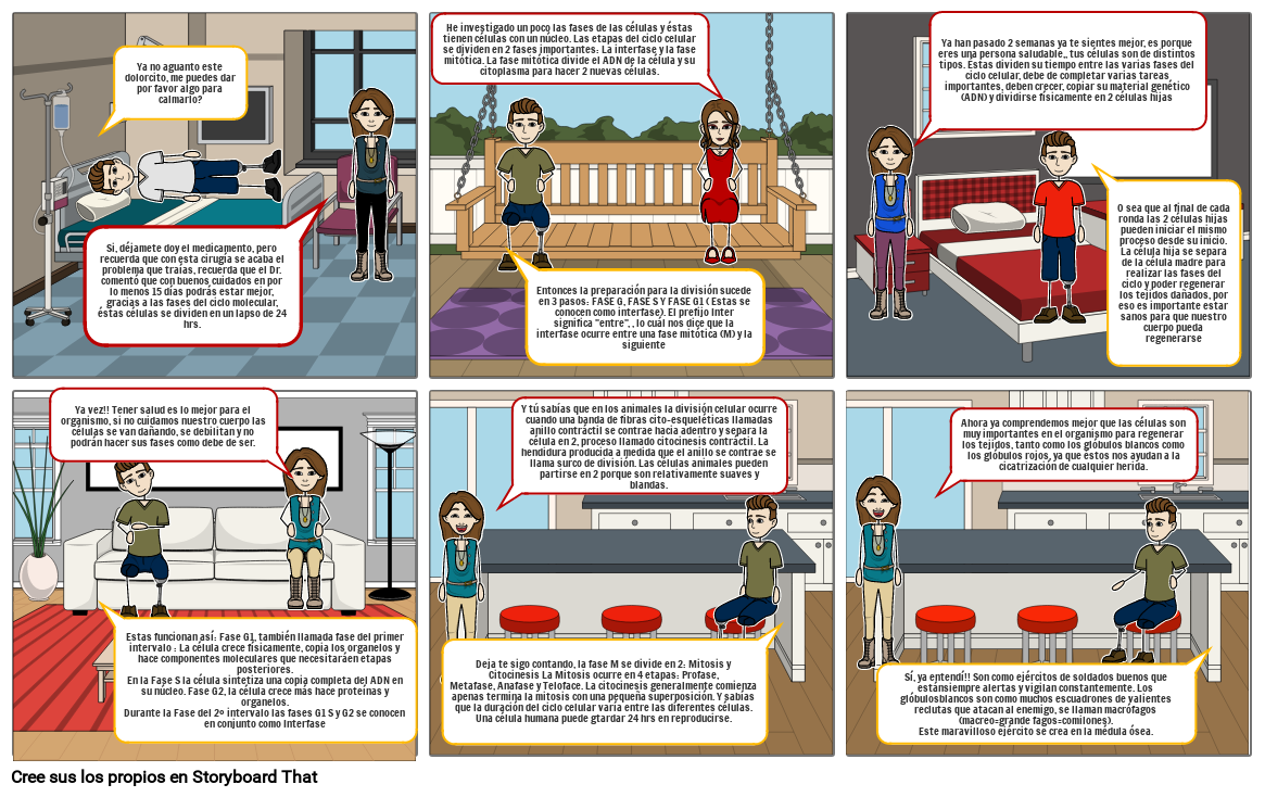 El Ciclo Celular En La Vida Del Ser Humano Storyboard El Ciclo Celular En La Vida Del Ser Humano Storyboard