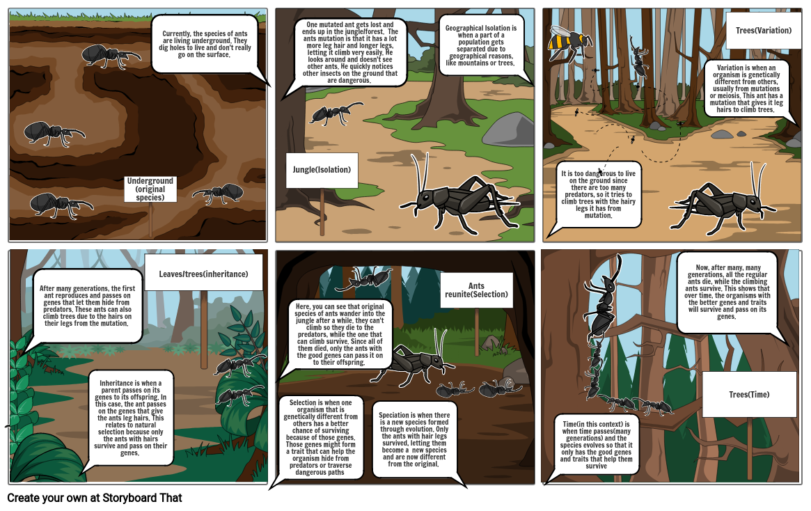 Bio story board Storyboard par cd9a1159