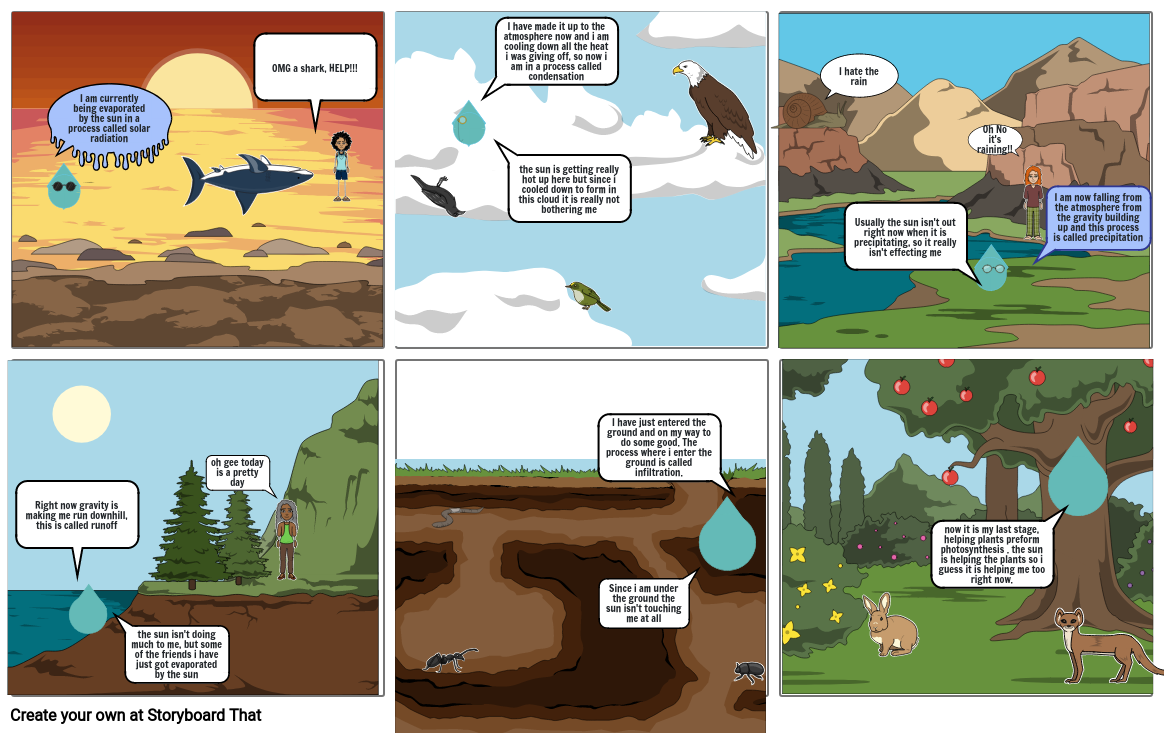 The Water Cycle Storyboard by cfd1294c