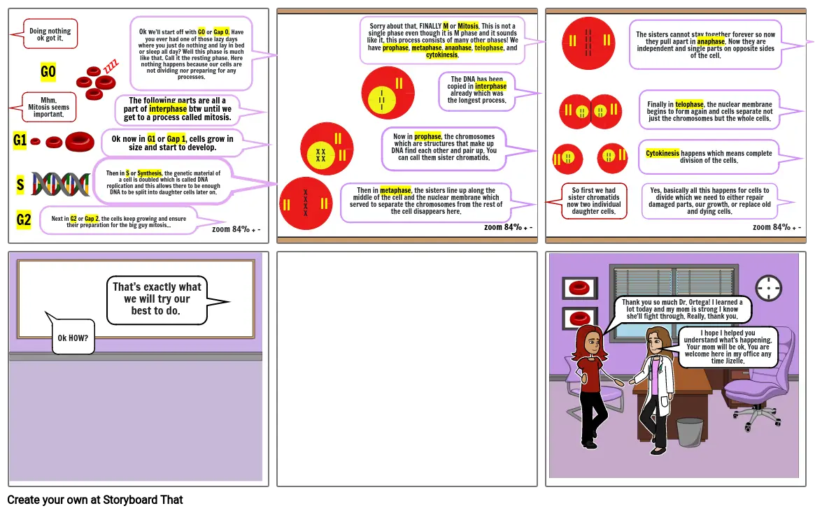 Chemotherapy and the Cell Cycle Project