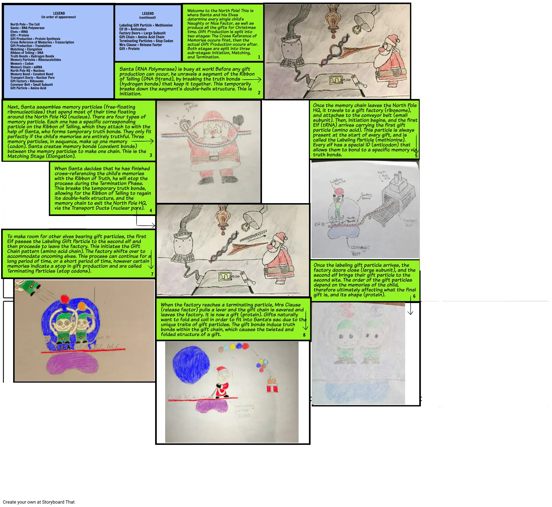 Protein Synthesis Comic Strip