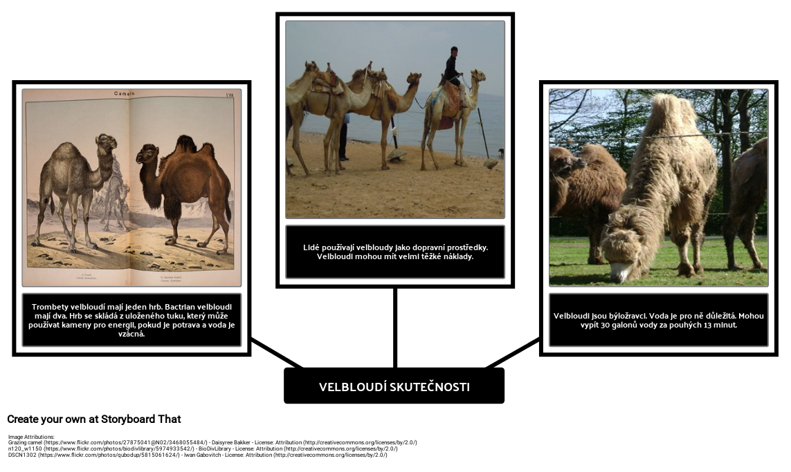 Jak Camel Dostal Jeho Hrbem Camel Fakta Storyboard