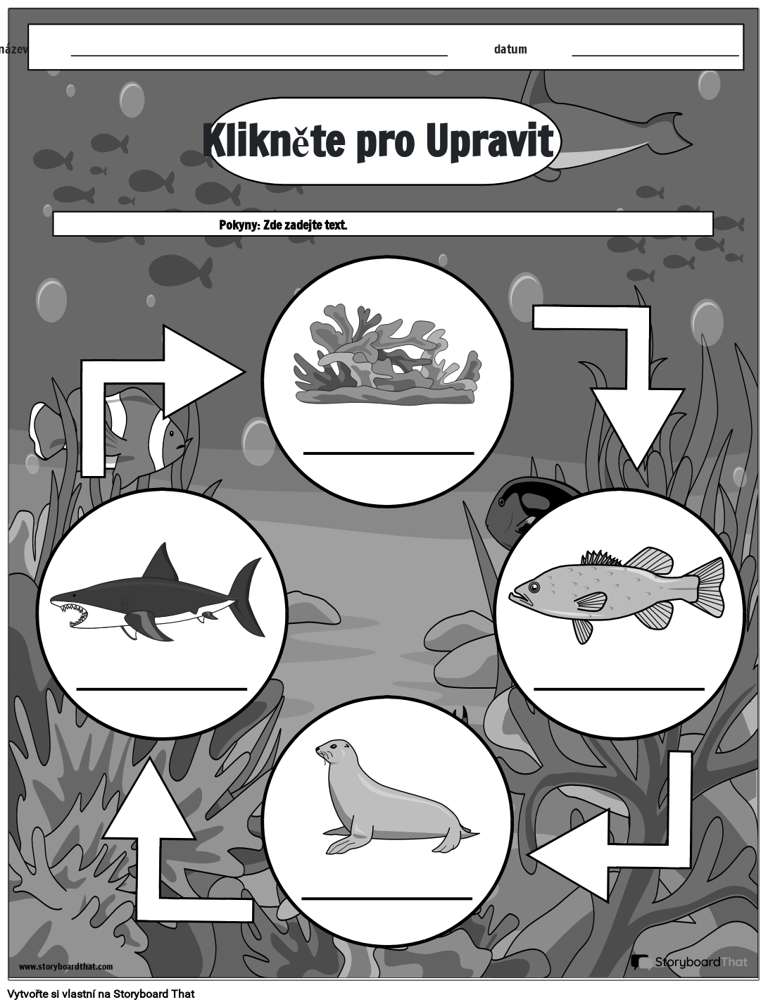 Ocean Food Chain Worksheet Design B&W Storyboard