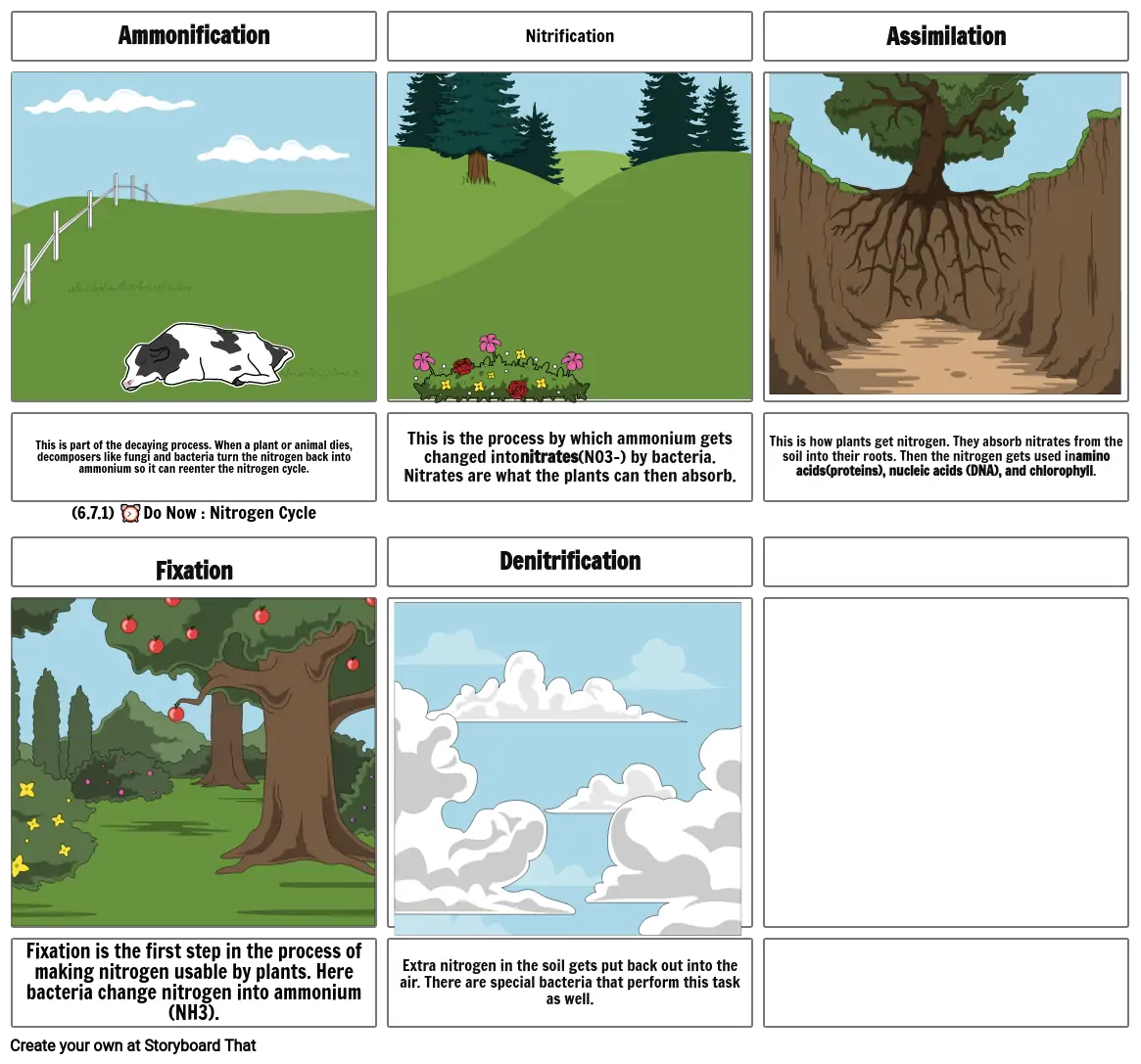 nitrogen cycle