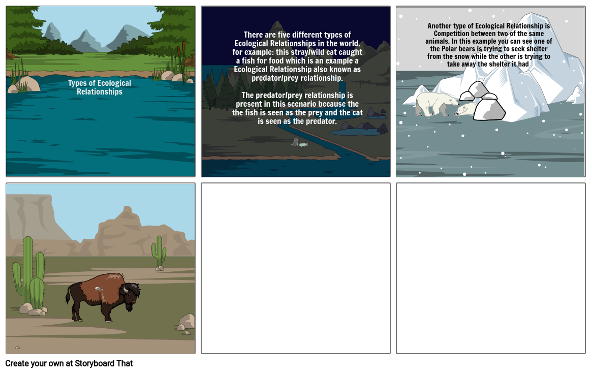 The five types of Ecological Relationships Storyboard