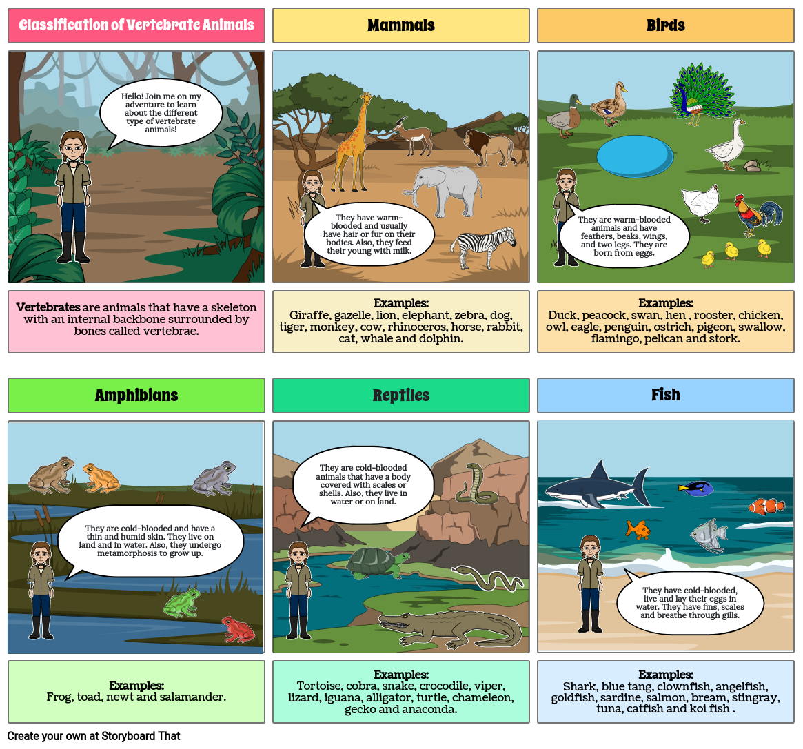 classification-of-vertebrate-animals-storyboard