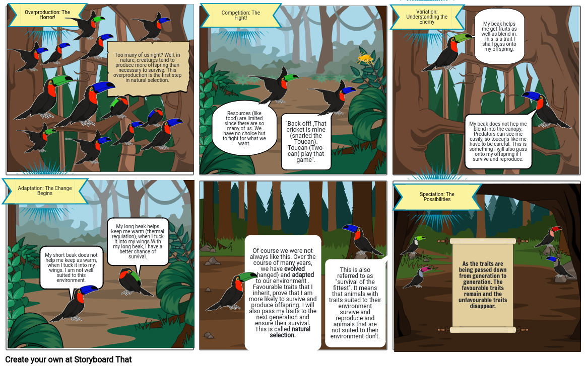 natural selection comic strip assignment