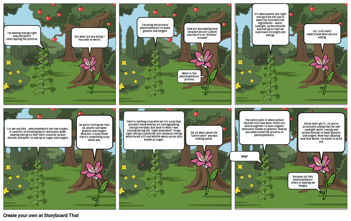 Photosynthesis Storyboard By D4042833 photosynthesis-storyboard-by-d4042833