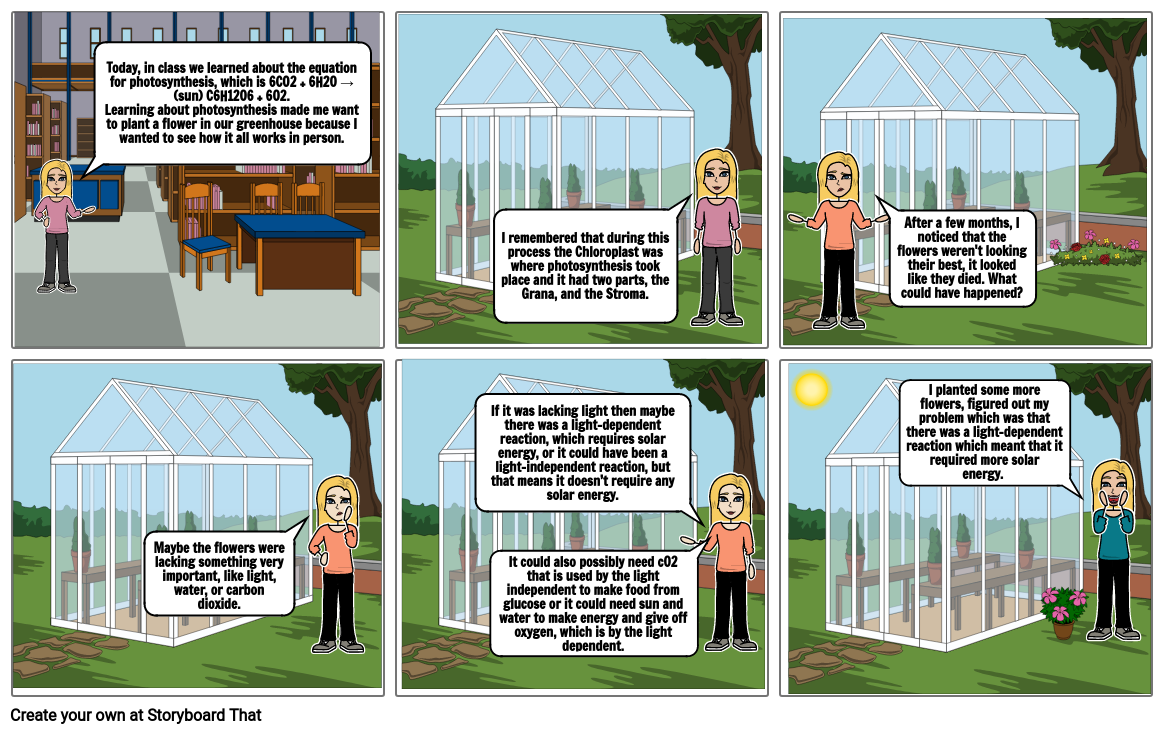 photosynthesis comic strip assignment