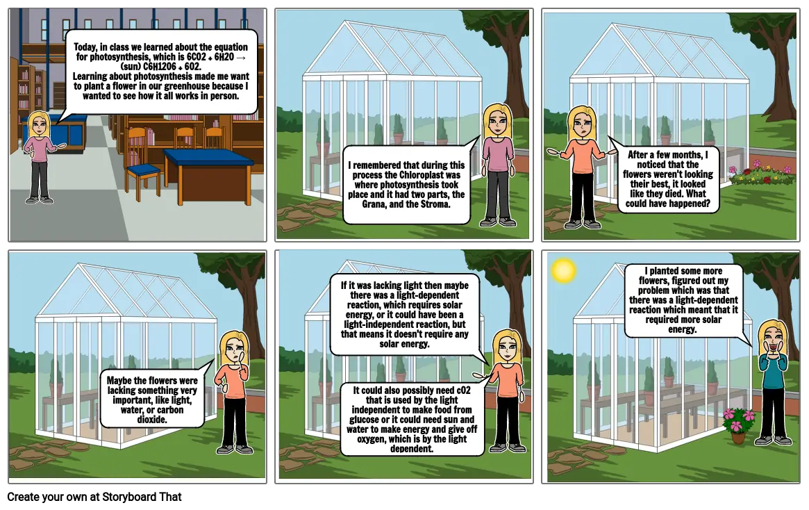 Photosynthesis Comic Strip