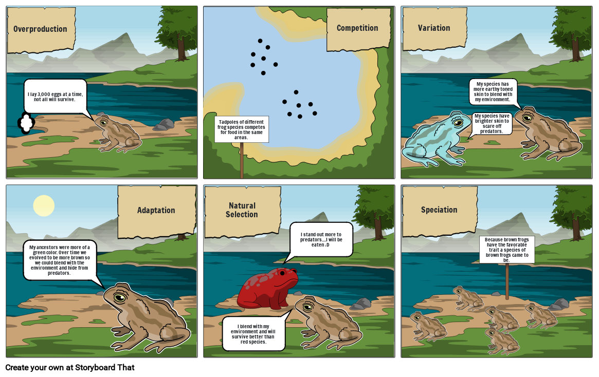 Frog Natural Selection Storyboard by d4e9c76d