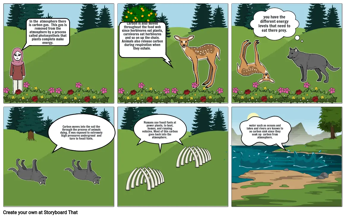 carbon cycle