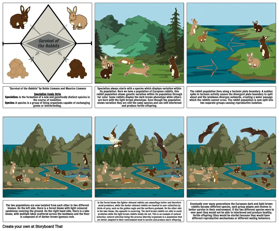 Speciation Comic Strip (Rabbits) Robin & Maurice