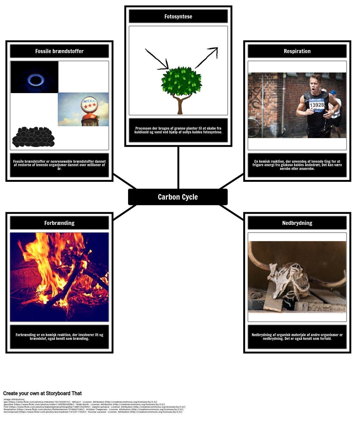 carbon-cycle-eksempel-p-ordforr-d-storyboard