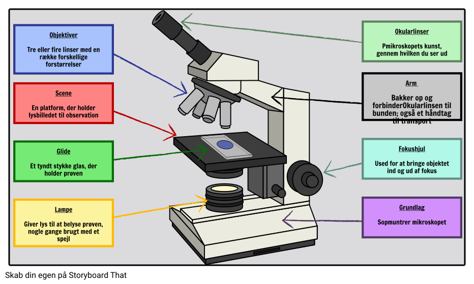mikroskop funktioner Storyboard por da-examples