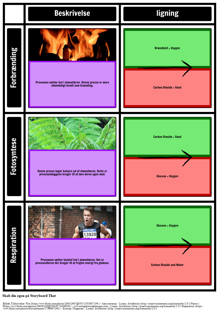 processer-i-carbon-cycle-grid-storyboard-af-da-examples