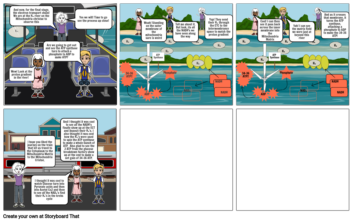 Cellular Respiration Comic Storyboard by dab66a1a