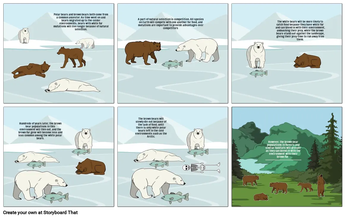 Natural Selection Storyboard