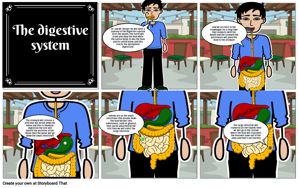 Digestive System Storyboard By Danmel