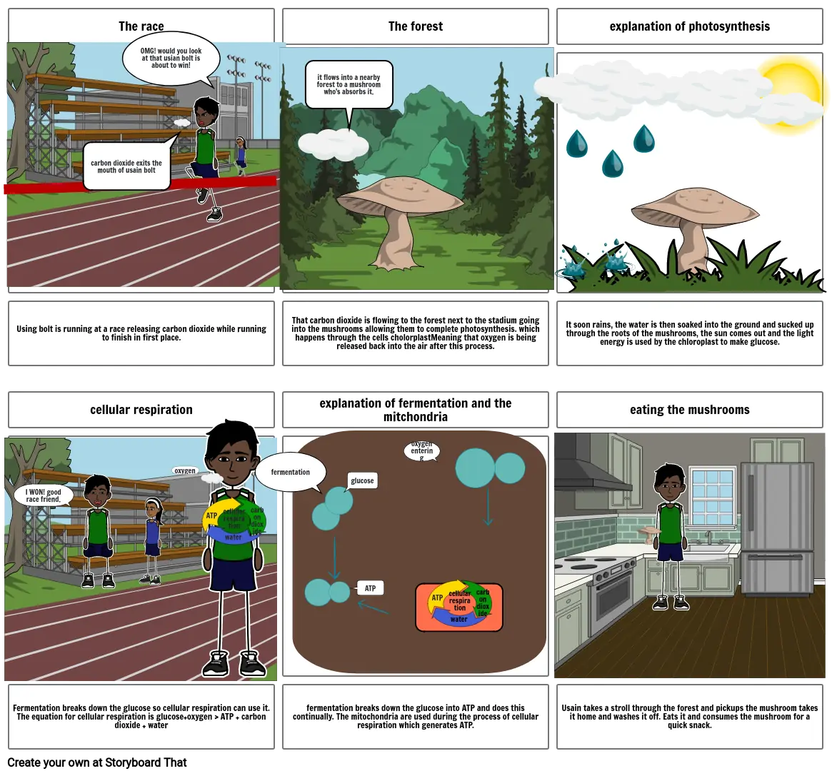 cellular respiration and other