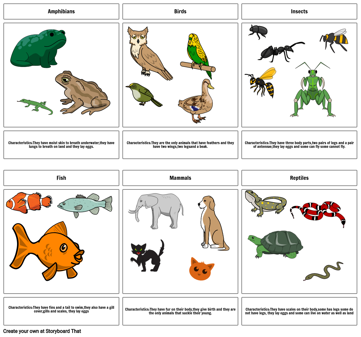 Animal classification Storyboard by dc8936b2