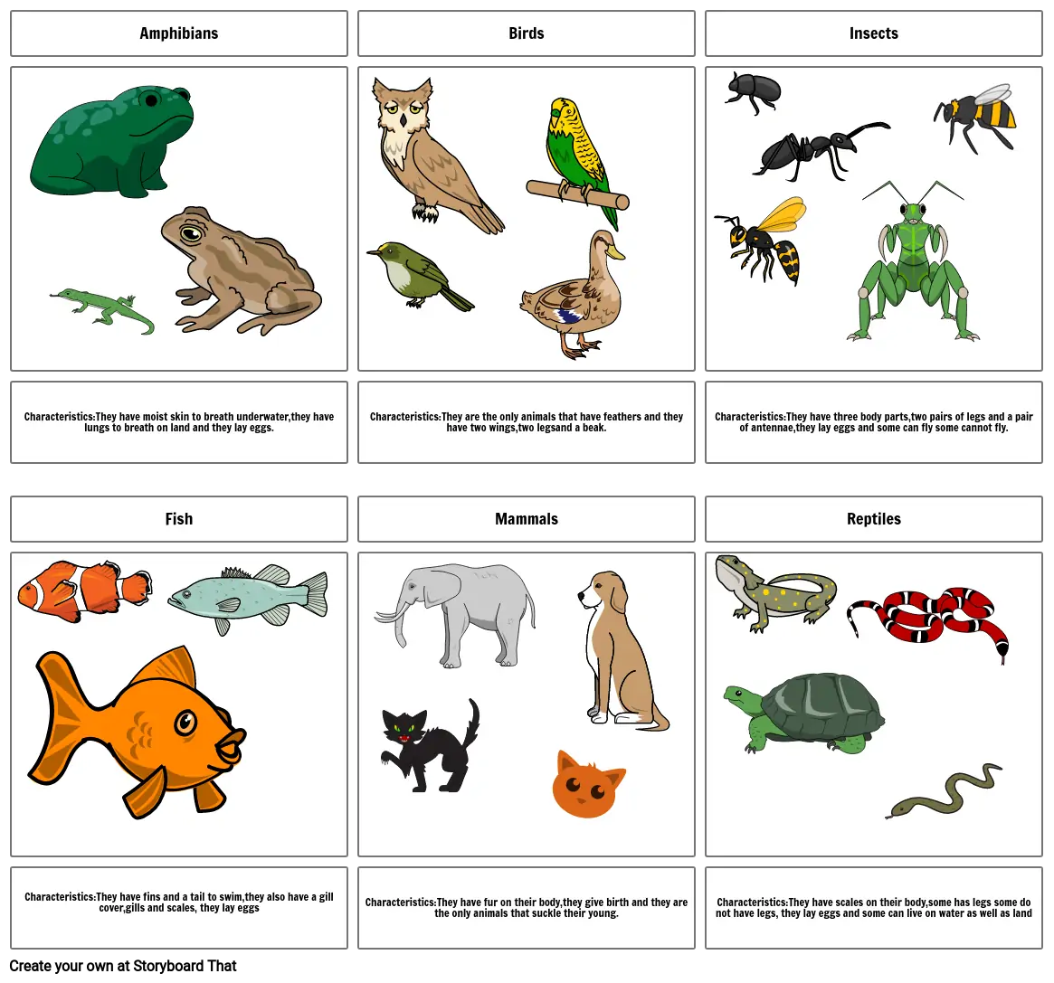 Animal classification